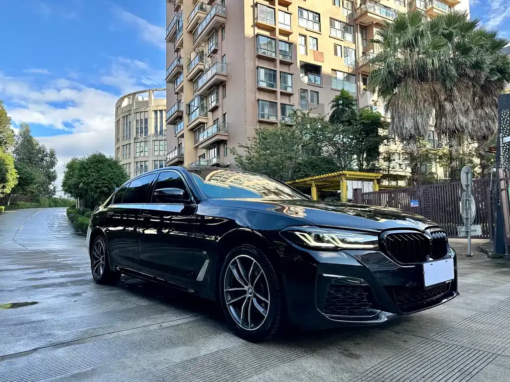 BMW 5 Series 2022 из CN, фото 3
