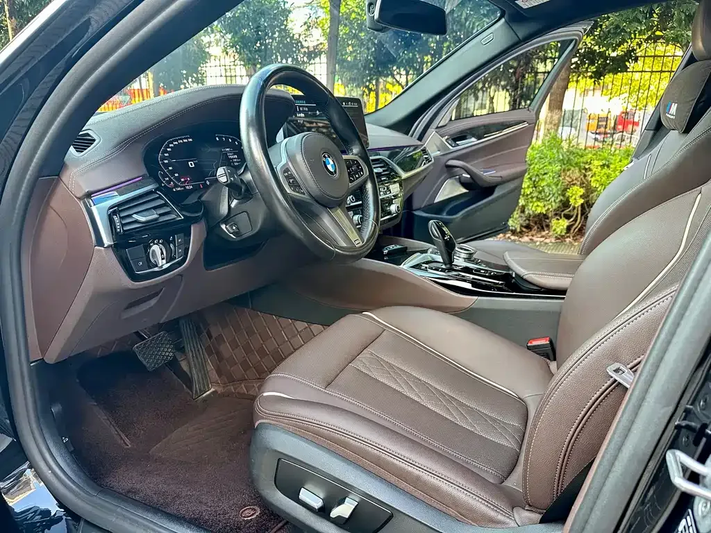 BMW 5 Series 2022 из CN, фото 4