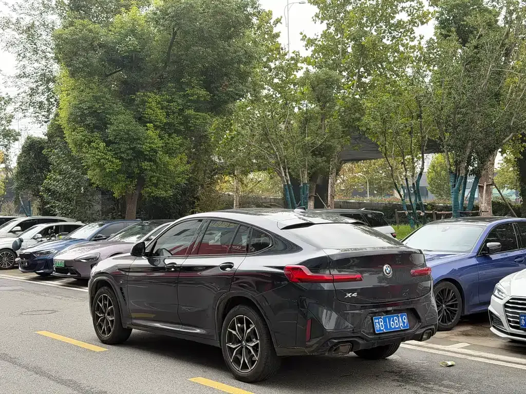 BMW X4 2023 из CN, фото 7