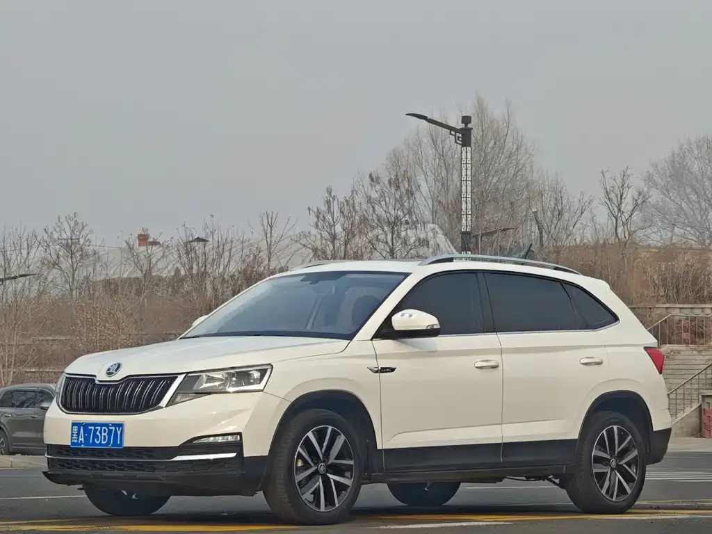 Skoda Kamiq 2023 из CN, фото 1