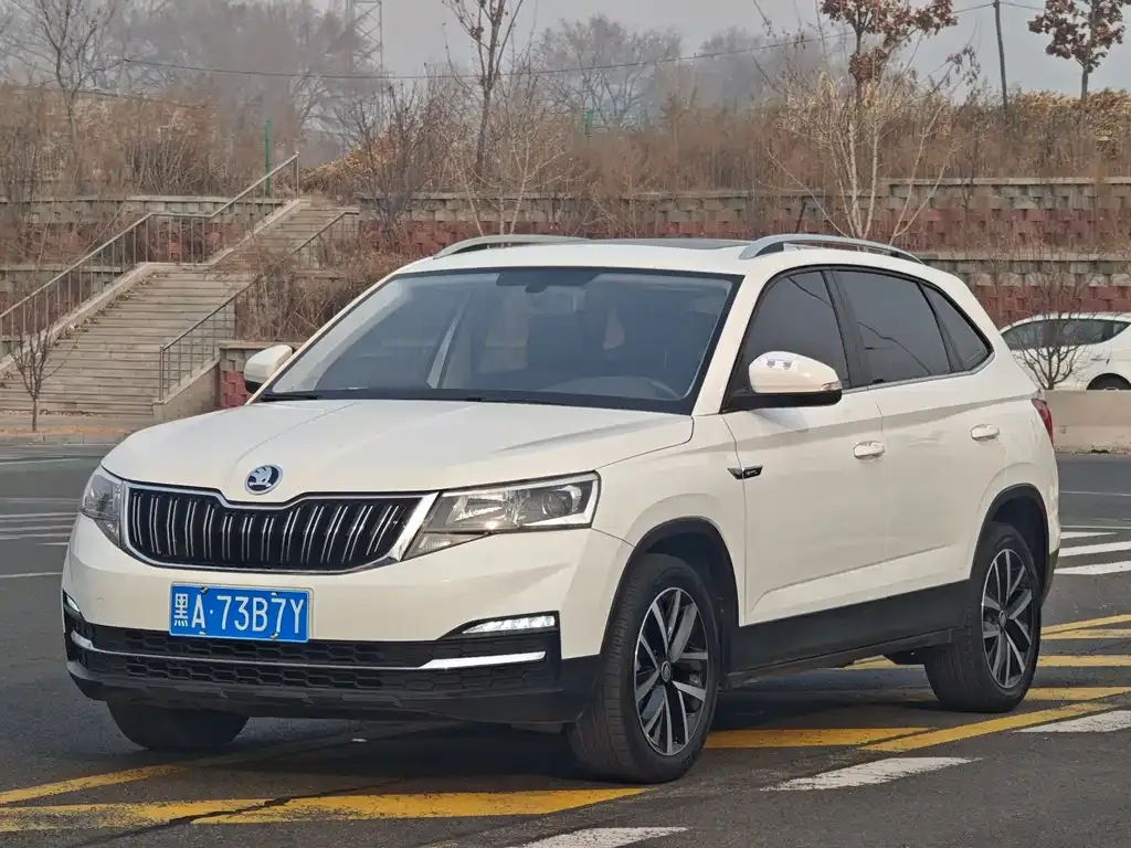 Skoda Kamiq 2023 из CN, фото 2