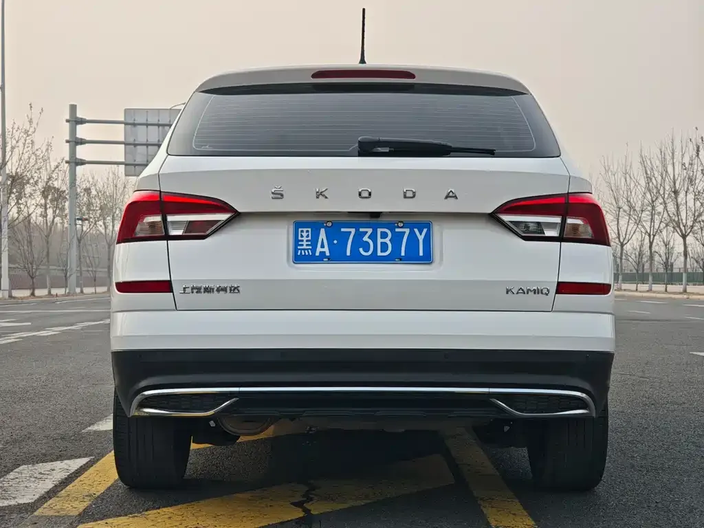 Skoda Kamiq 2023 из CN, фото 4