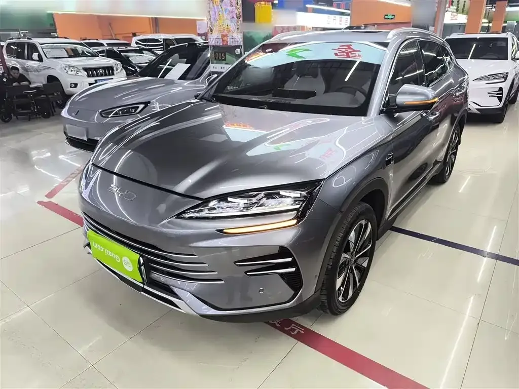 BYD PLUS New Energy 2025 из CN, фото 2