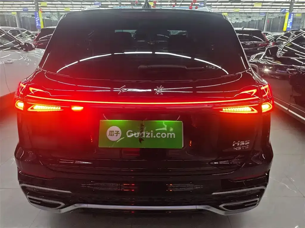 Hongqi HS5 2024 из CN, фото 6
