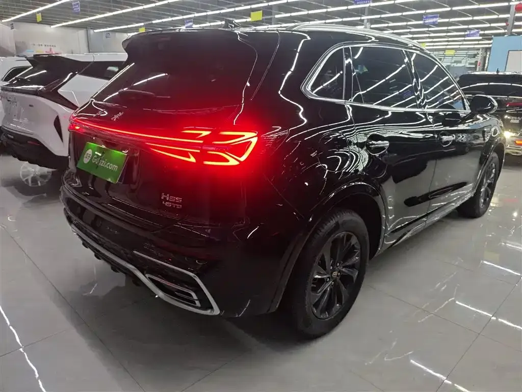 Hongqi HS5 2024 из CN, фото 7