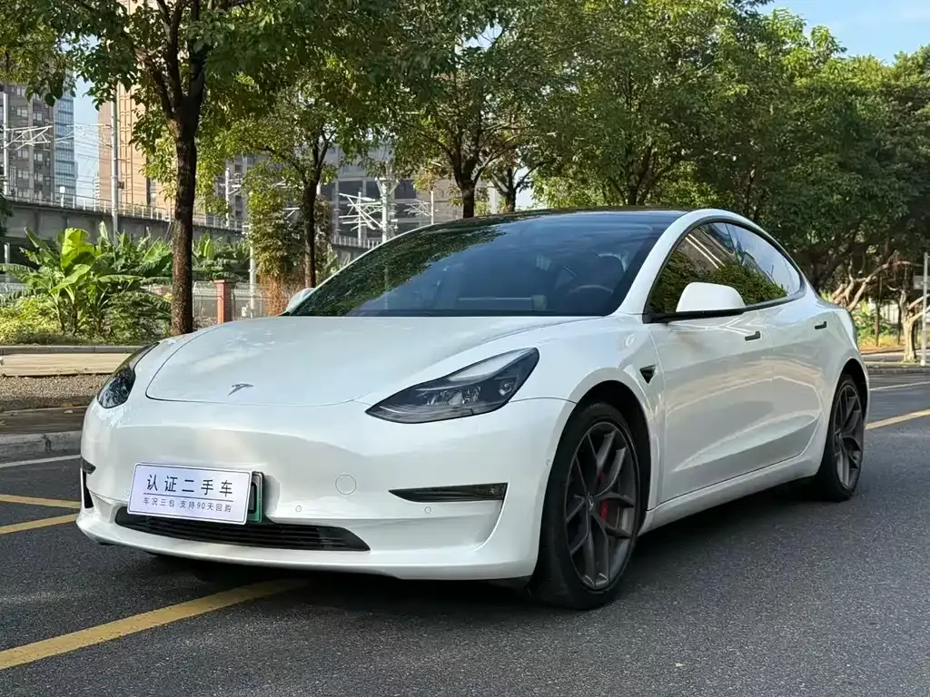 Tesla Model 3 2021 из CN, фото 1