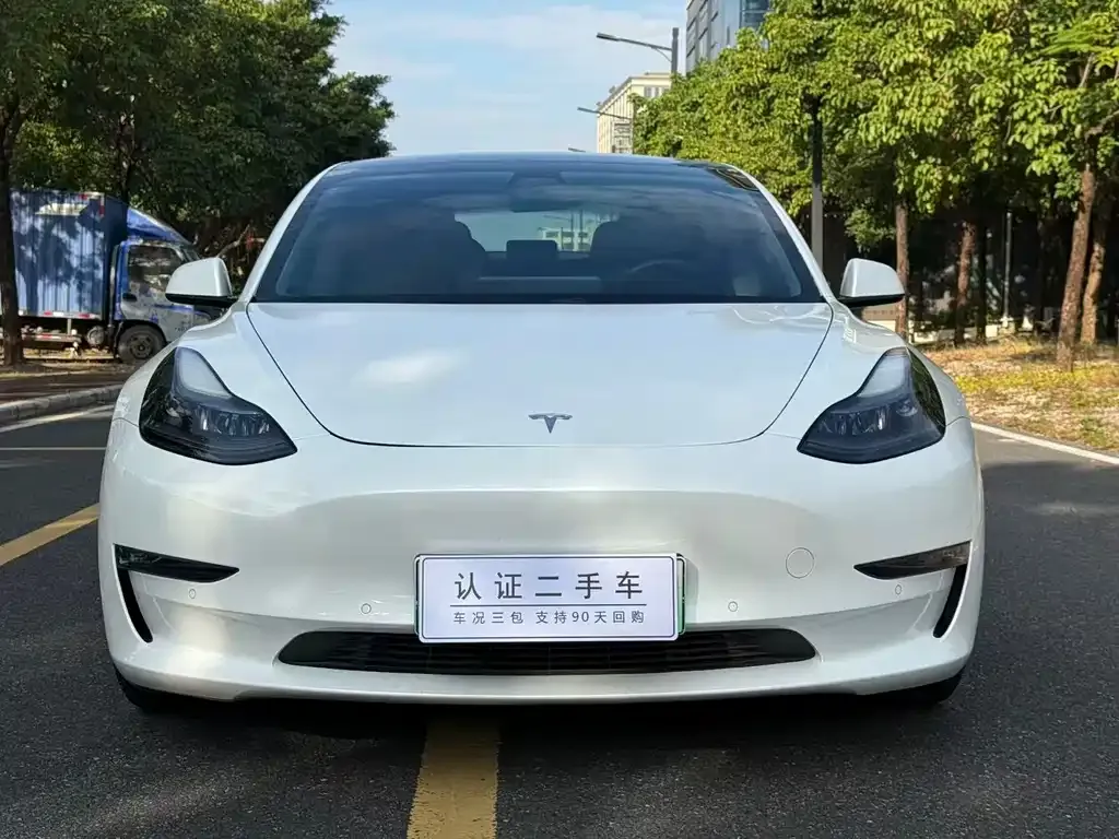 Tesla Model 3 2021 из CN, фото 2