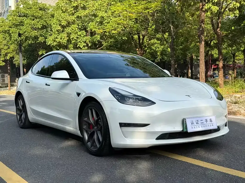 Tesla Model 3 2021 из CN, фото 3