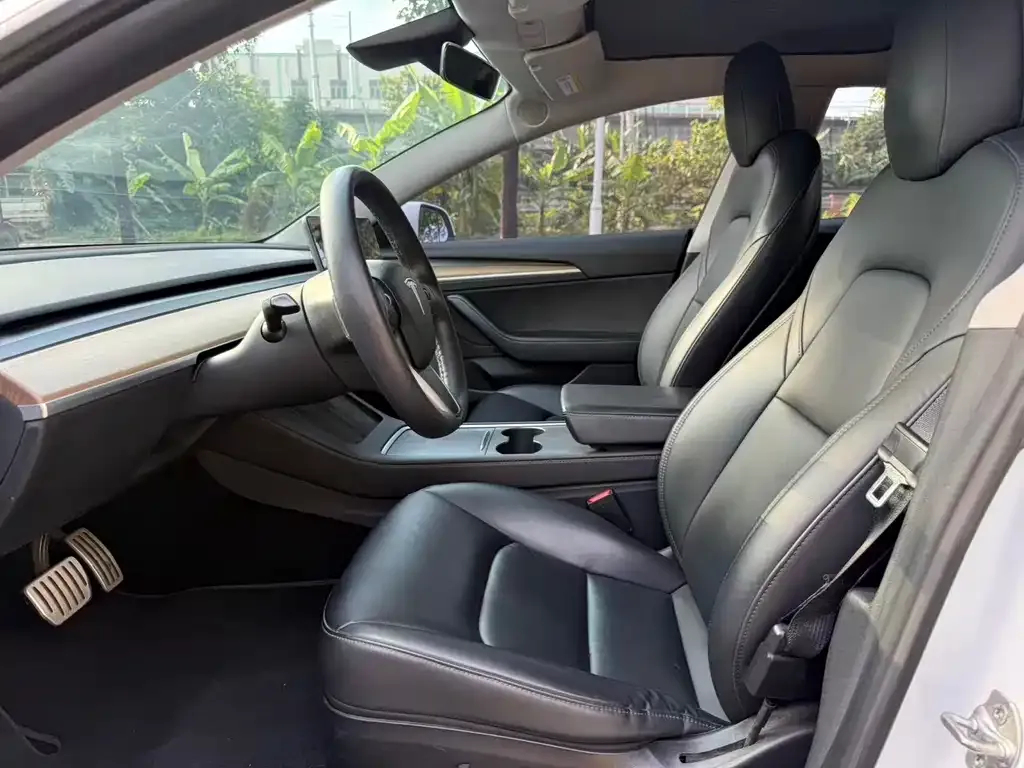 Tesla Model 3 2021 из CN, фото 4