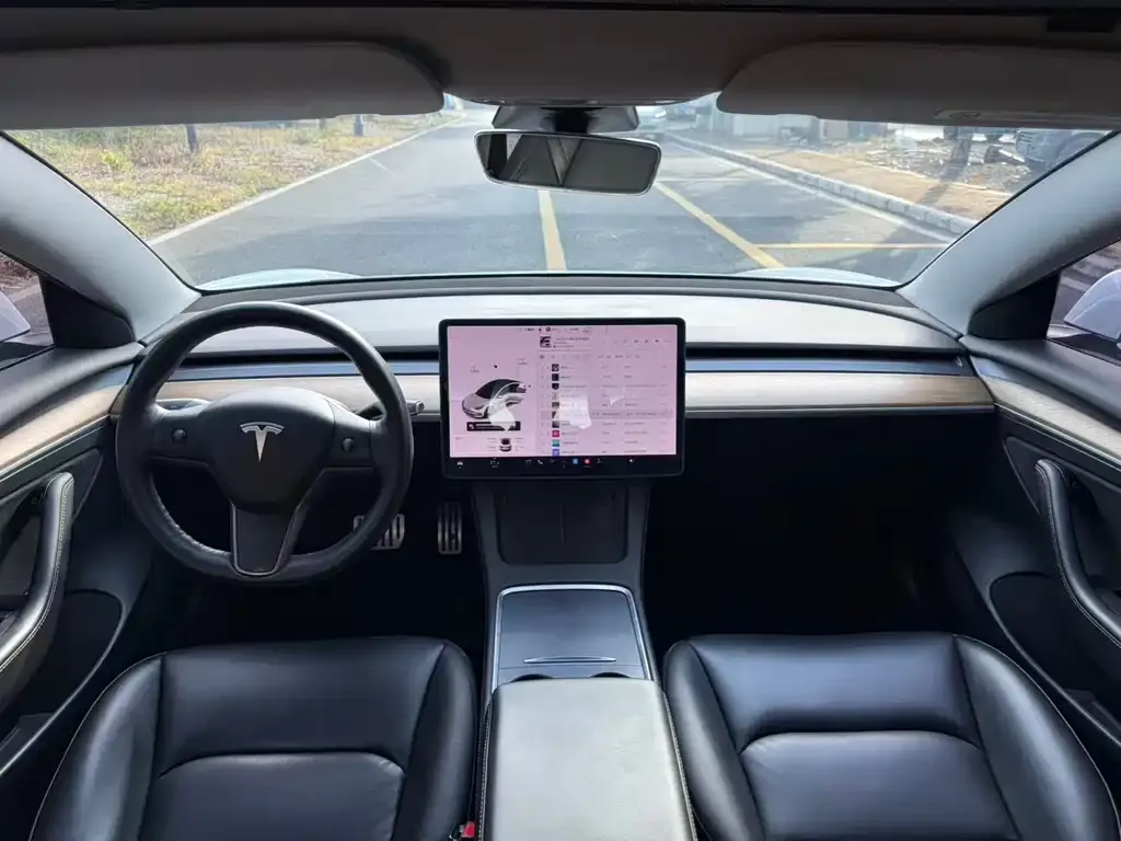 Tesla Model 3 2021 из CN, фото 5