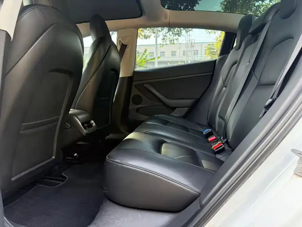 Tesla Model 3 2021 из CN, фото 6