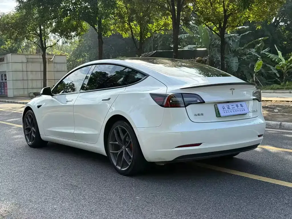 Tesla Model 3 2021 из CN, фото 7