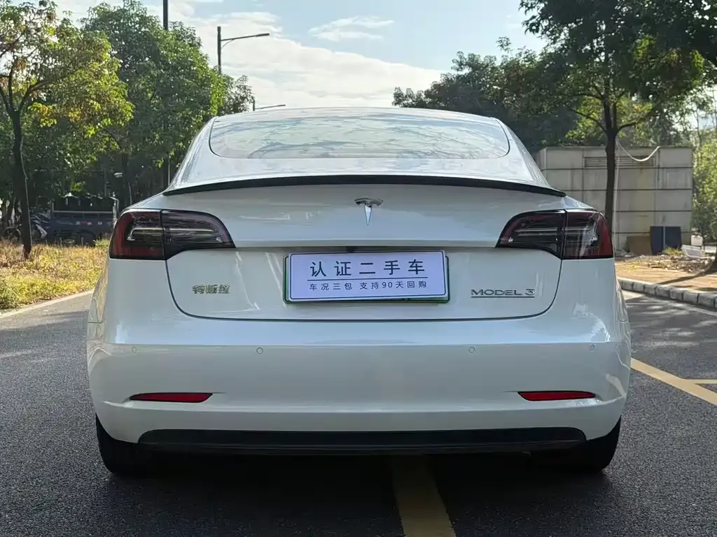 Tesla Model 3 2021 из CN, фото 8