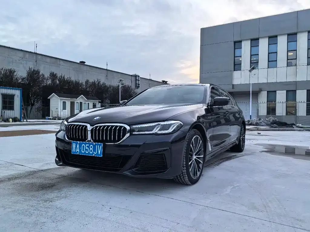 BMW 5 Series 2021 из CN, фото 1