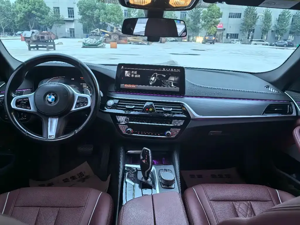 BMW 5 Series 2021 из CN, фото 10