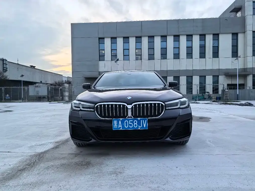 BMW 5 Series 2021 из CN, фото 2