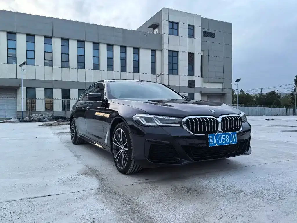 BMW 5 Series 2021 из CN, фото 3
