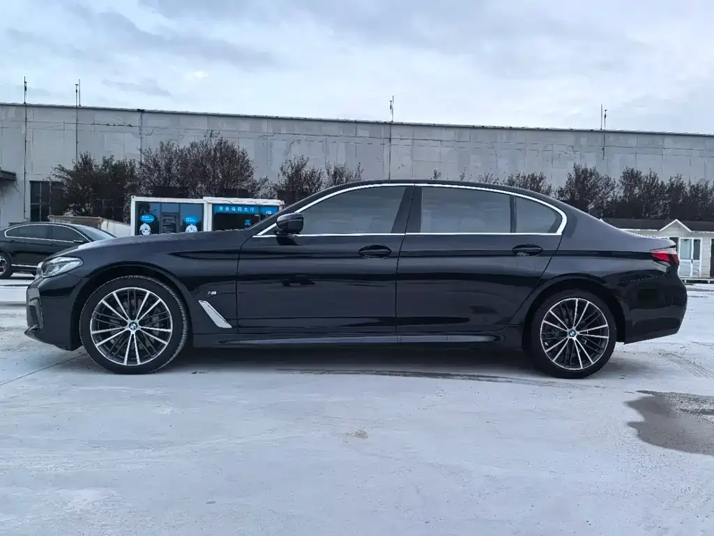 BMW 5 Series 2021 из CN, фото 4