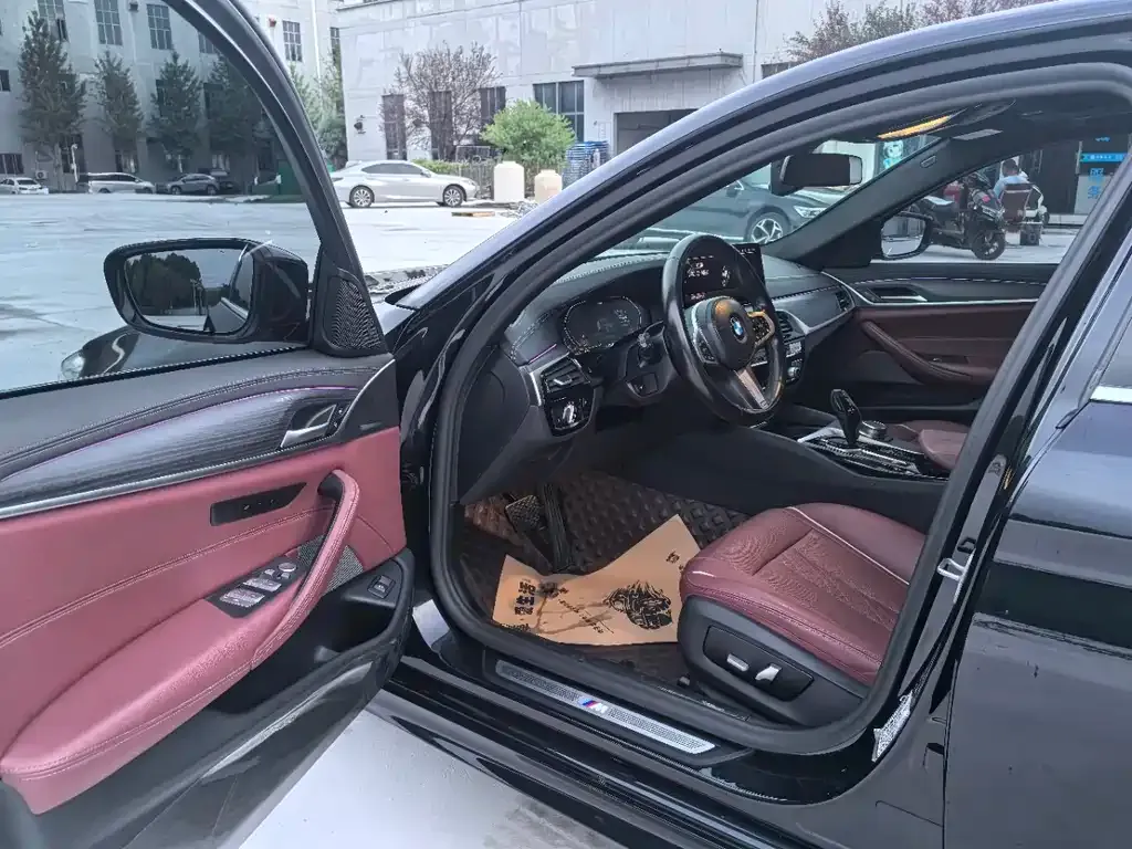 BMW 5 Series 2021 из CN, фото 6