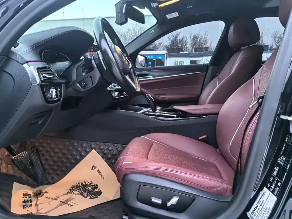 BMW 5 Series 2021 из CN, фото 7