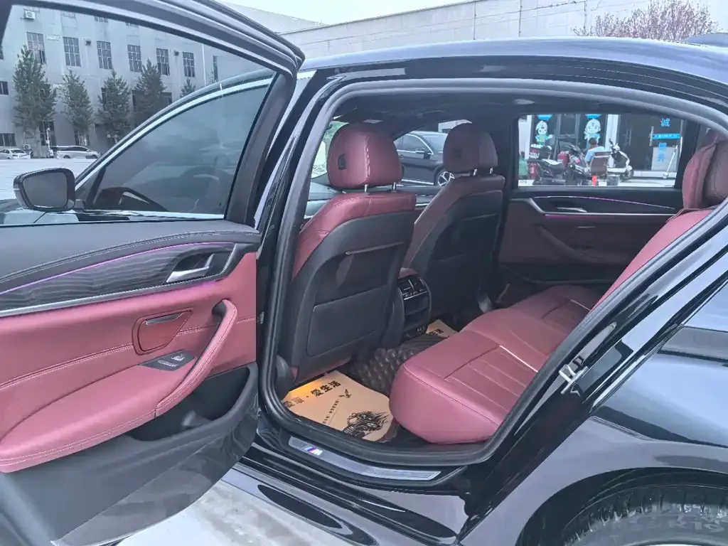 BMW 5 Series 2021 из CN, фото 8