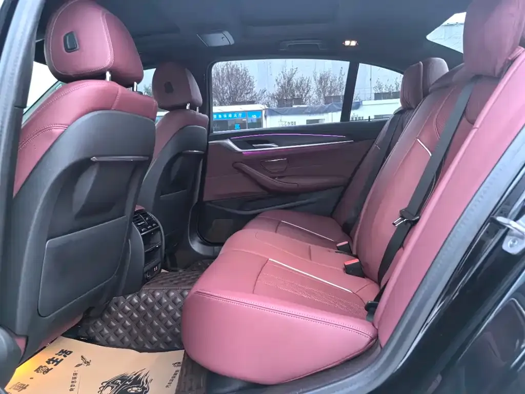 BMW 5 Series 2021 из CN, фото 9