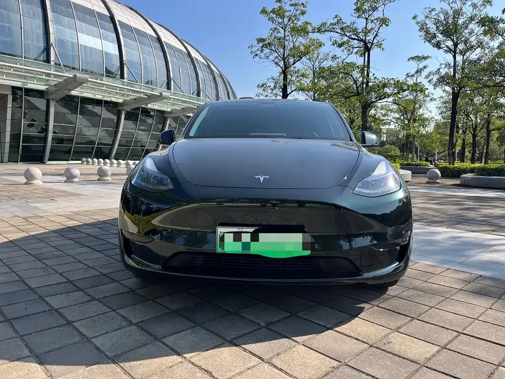 Tesla Model Y 2023 из CN, фото 2