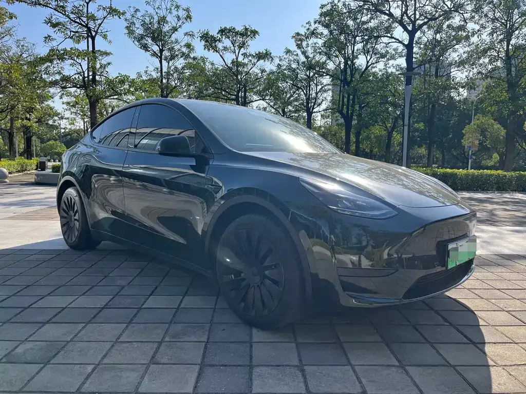 Tesla Model Y 2023 из CN, фото 3