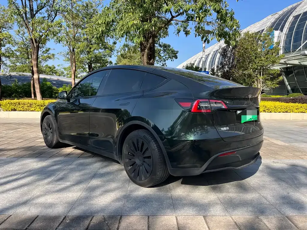 Tesla Model Y 2023 из CN, фото 7