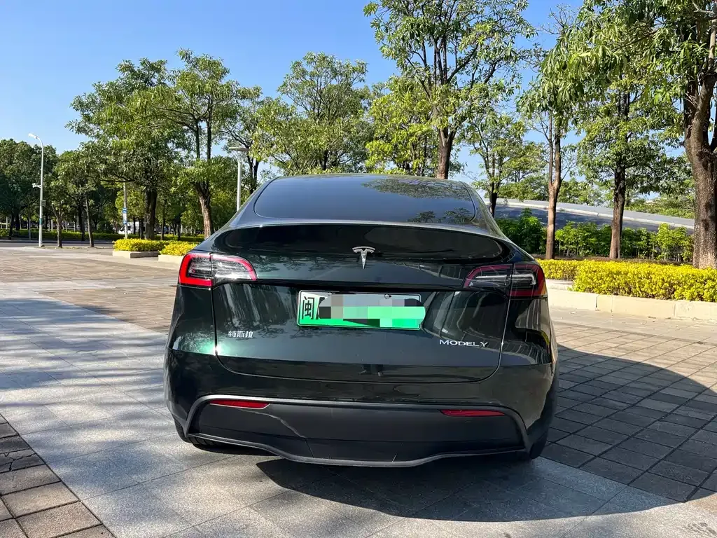Tesla Model Y 2023 из CN, фото 8