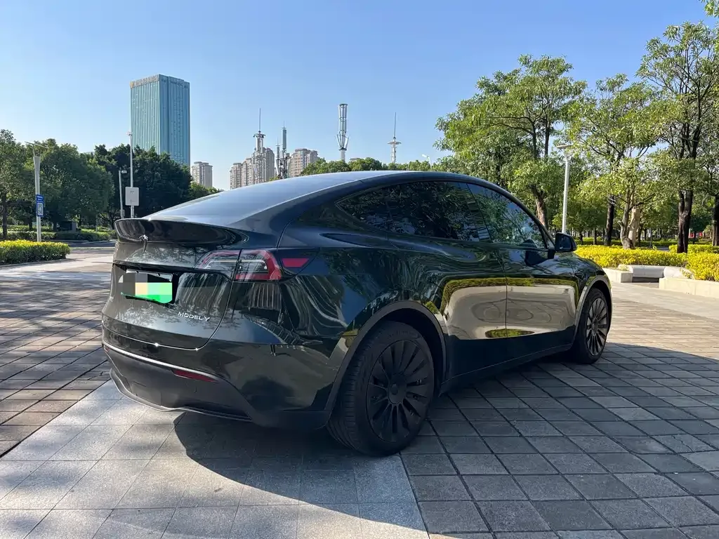 Tesla Model Y 2023 из CN, фото 9