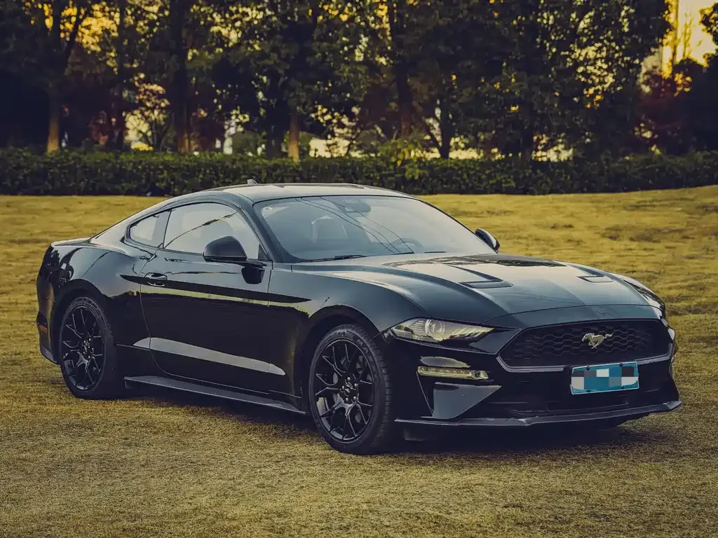 Ford Mustang — фото 3