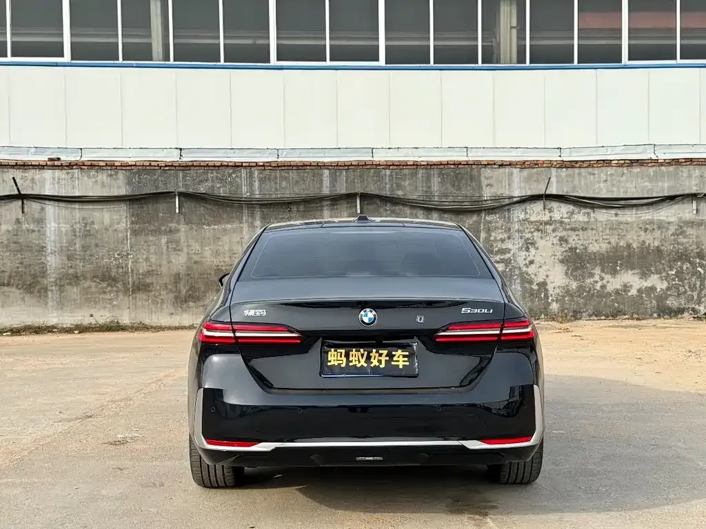 BMW 5 Series 2025 из CN, фото 5