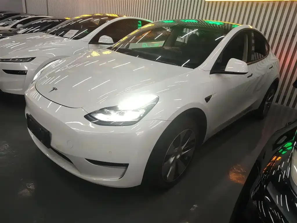 Tesla Model Y 2021 из CN, фото 1