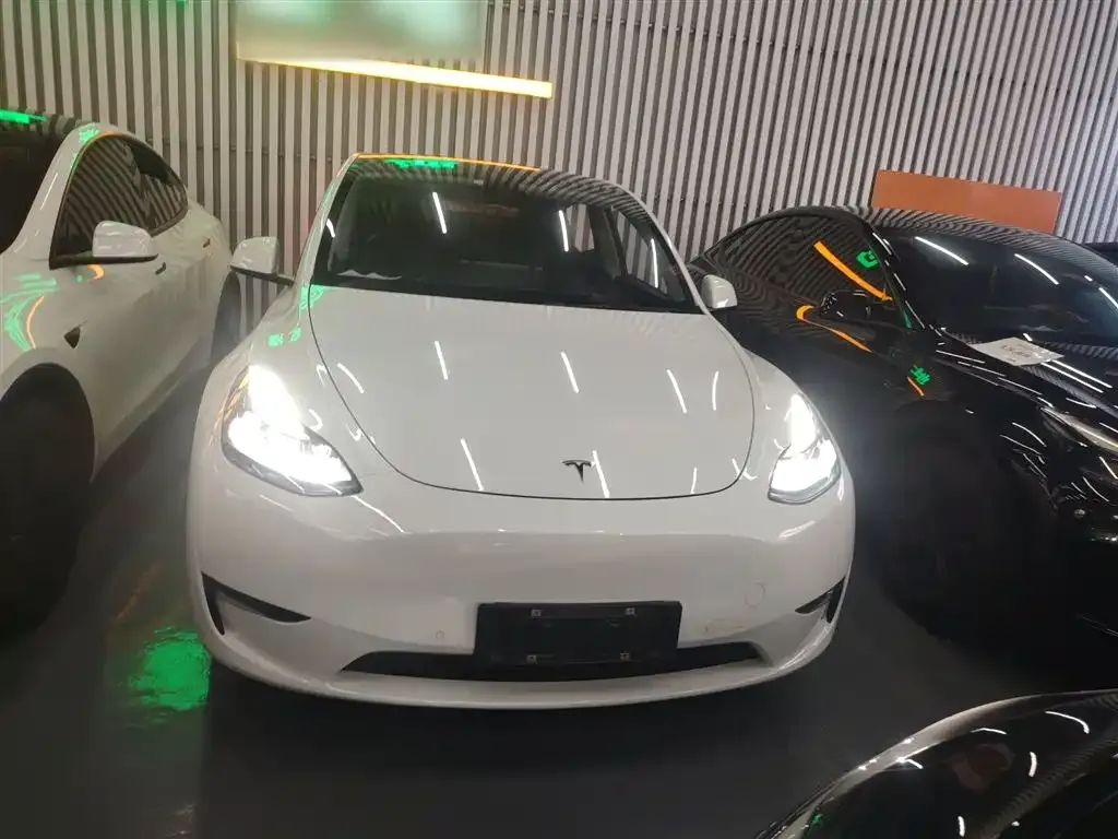 Tesla Model Y 2021 из CN, фото 3