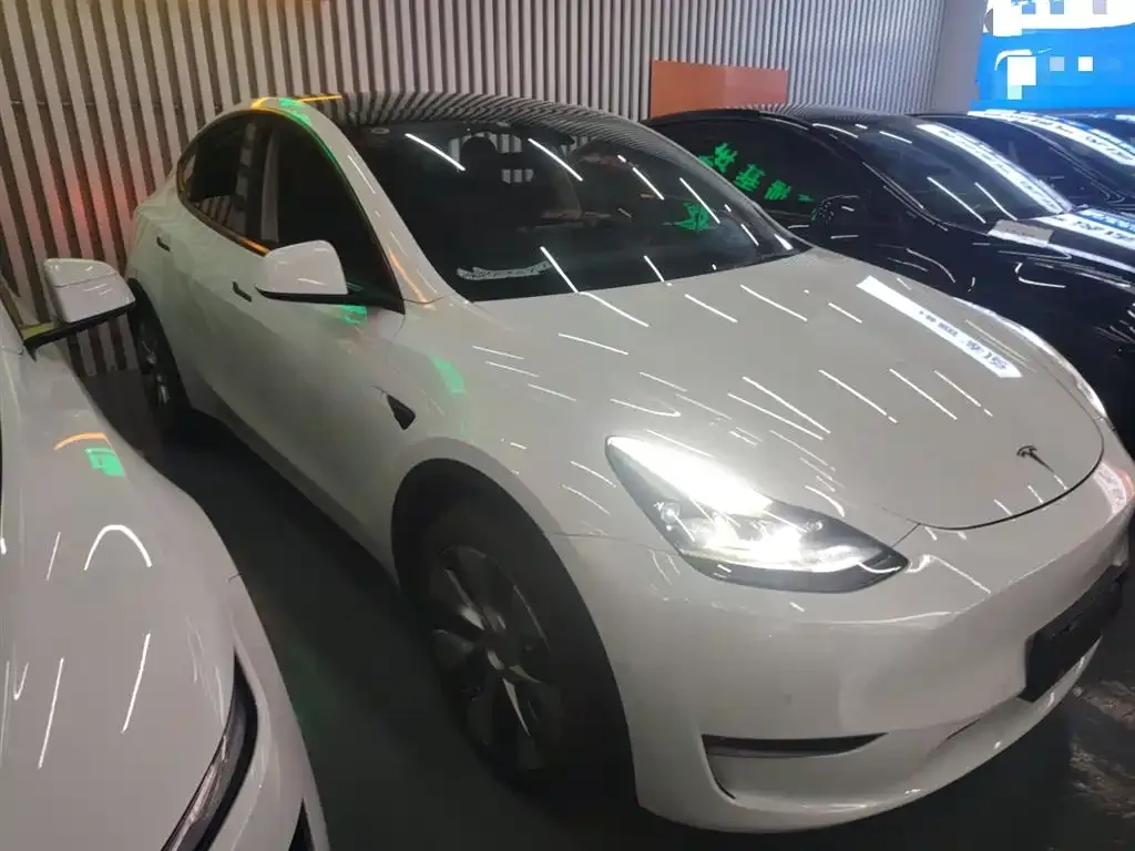 Tesla Model Y 2021 из CN, фото 4