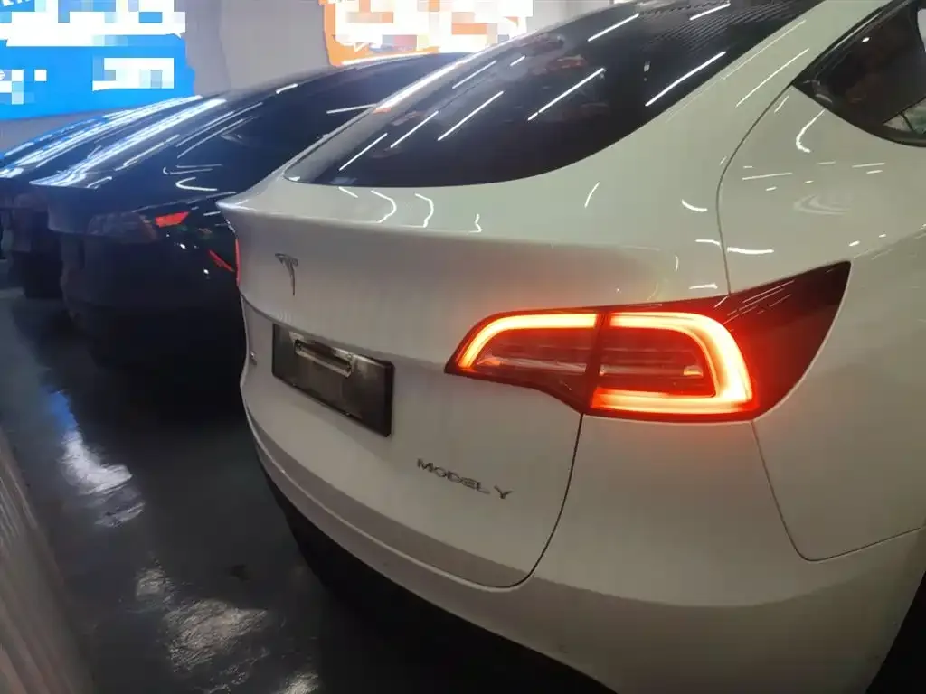 Tesla Model Y 2021 из CN, фото 6
