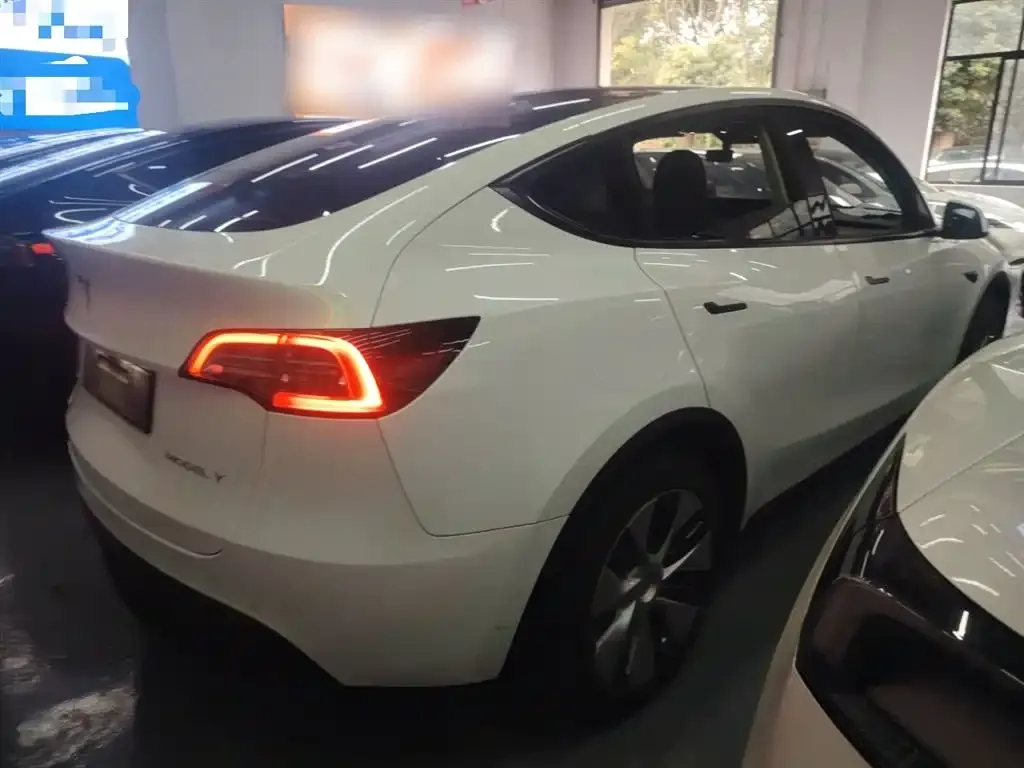 Tesla Model Y 2021 из CN, фото 7