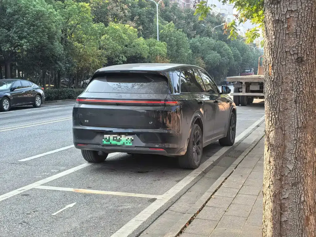 Li Auto L7 2024 из CN, фото 9