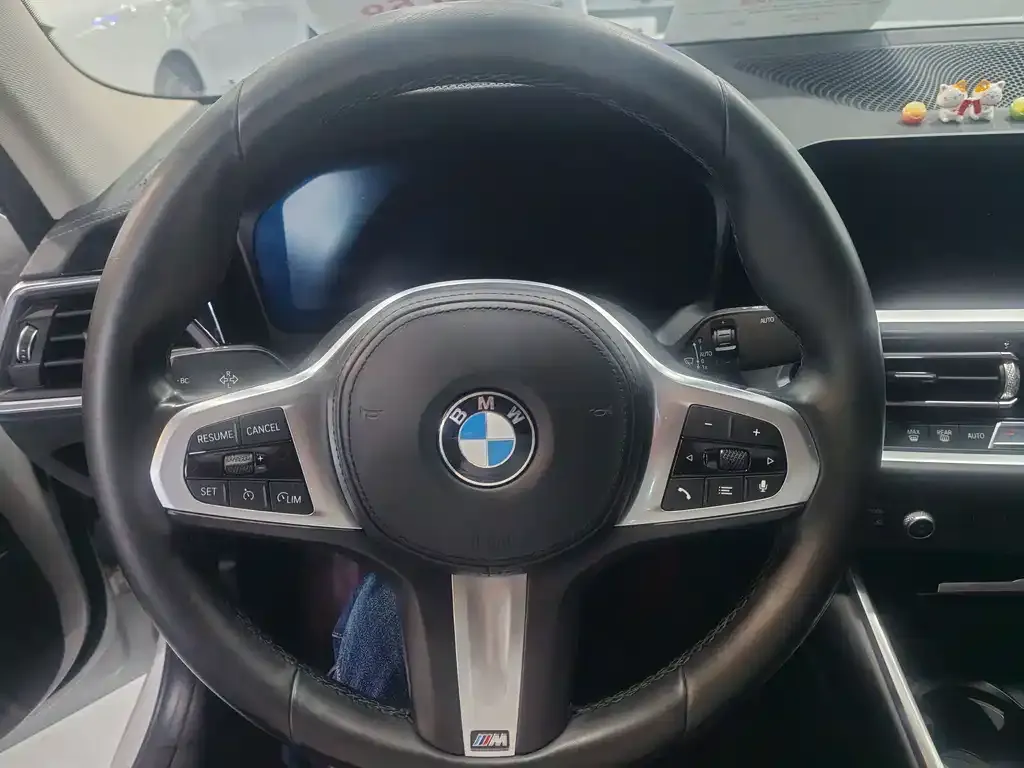 BMW 3 Series 2021 из CN, фото 9