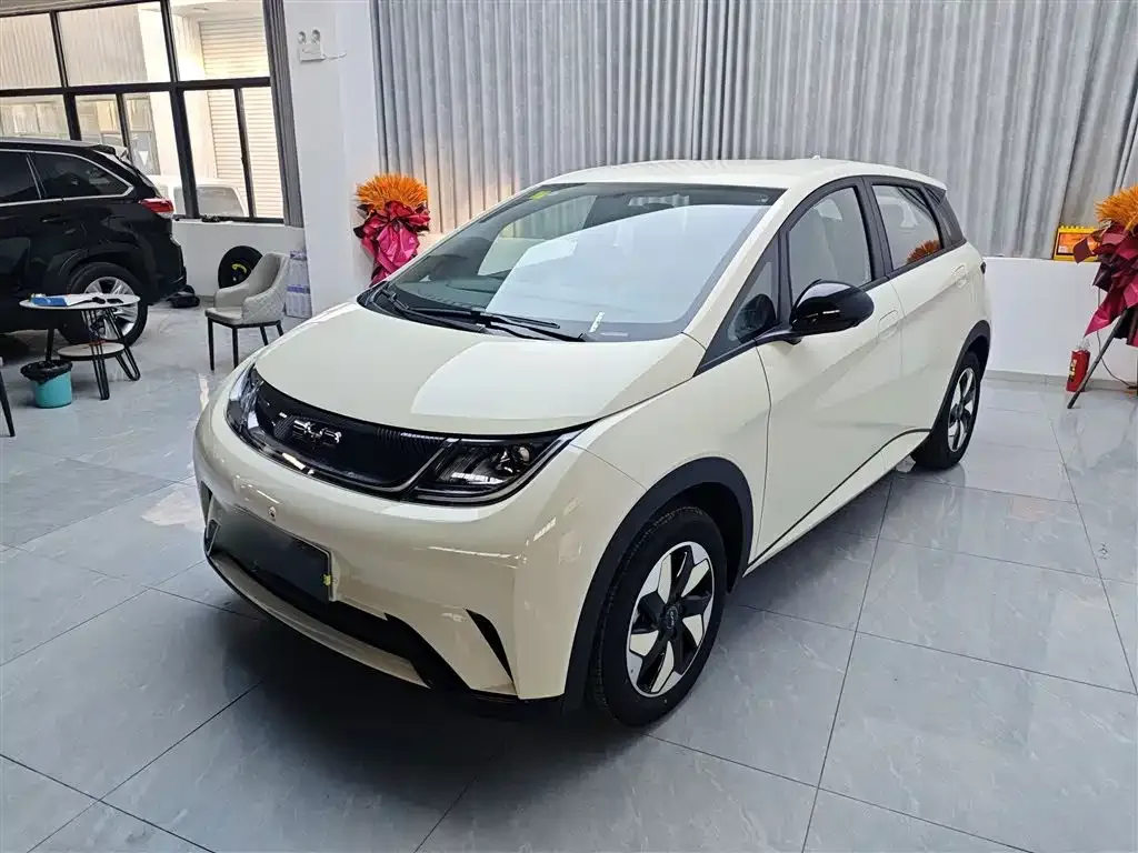 BYD Dolphin 2025 из CN, фото 1
