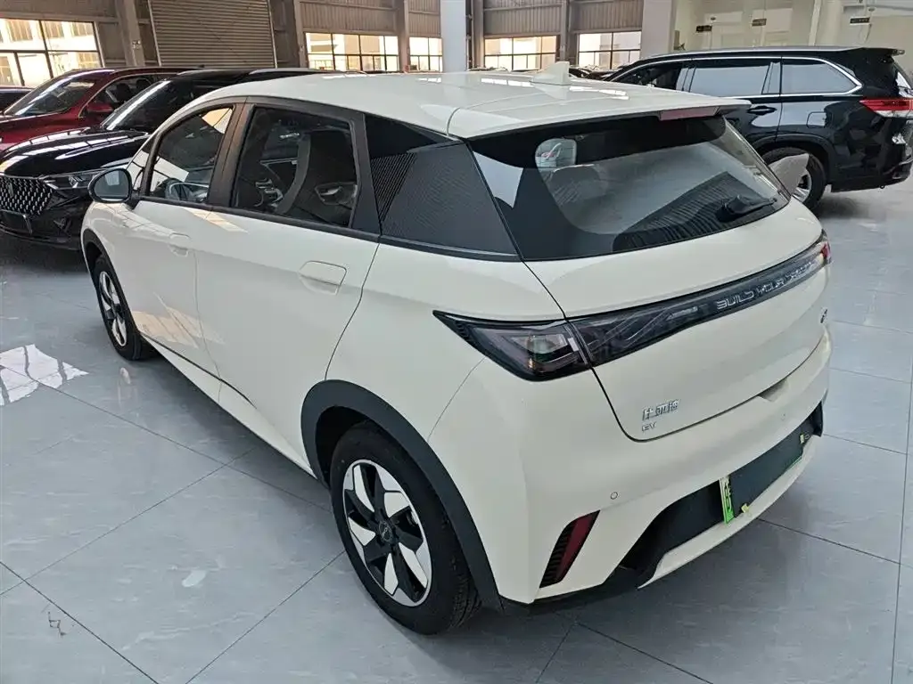 BYD Dolphin 2025 из CN, фото 5