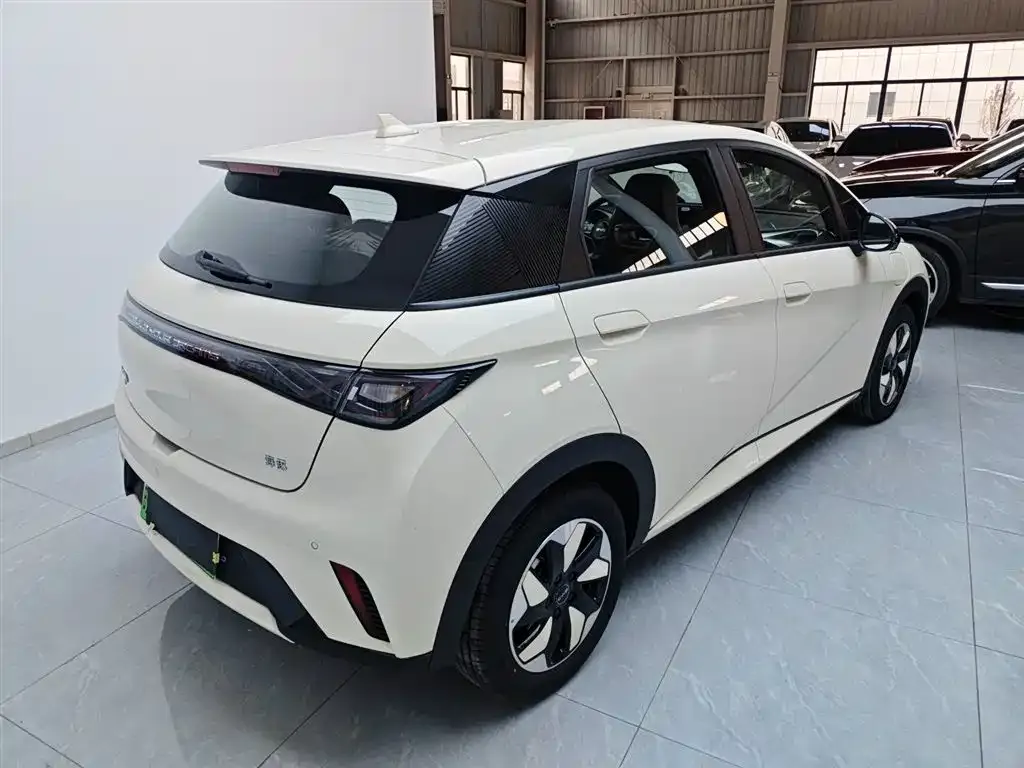 BYD Dolphin 2025 из CN, фото 7