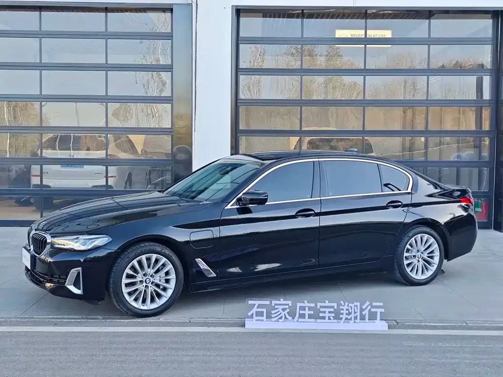 BMW 5 Series New Energy 2021 из CN, фото 1