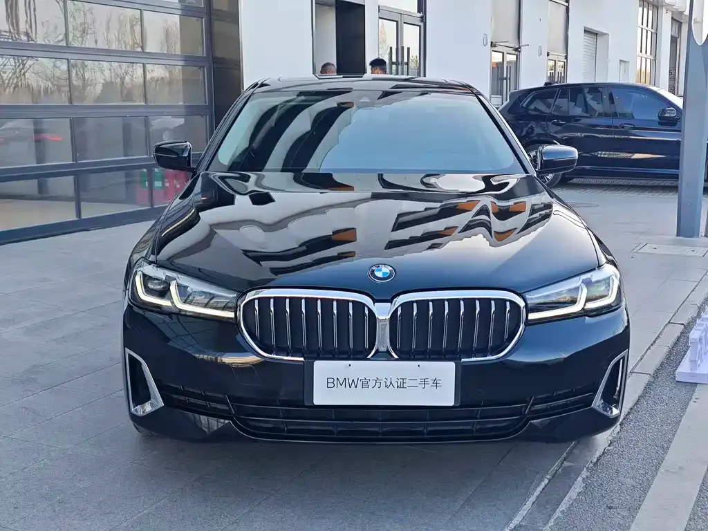 BMW 5 Series New Energy 2021 из CN, фото 2