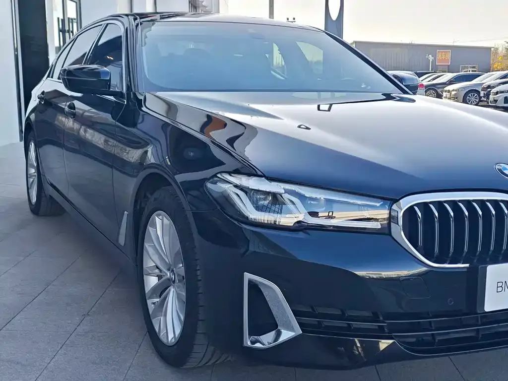 BMW 5 Series New Energy 2021 из CN, фото 3