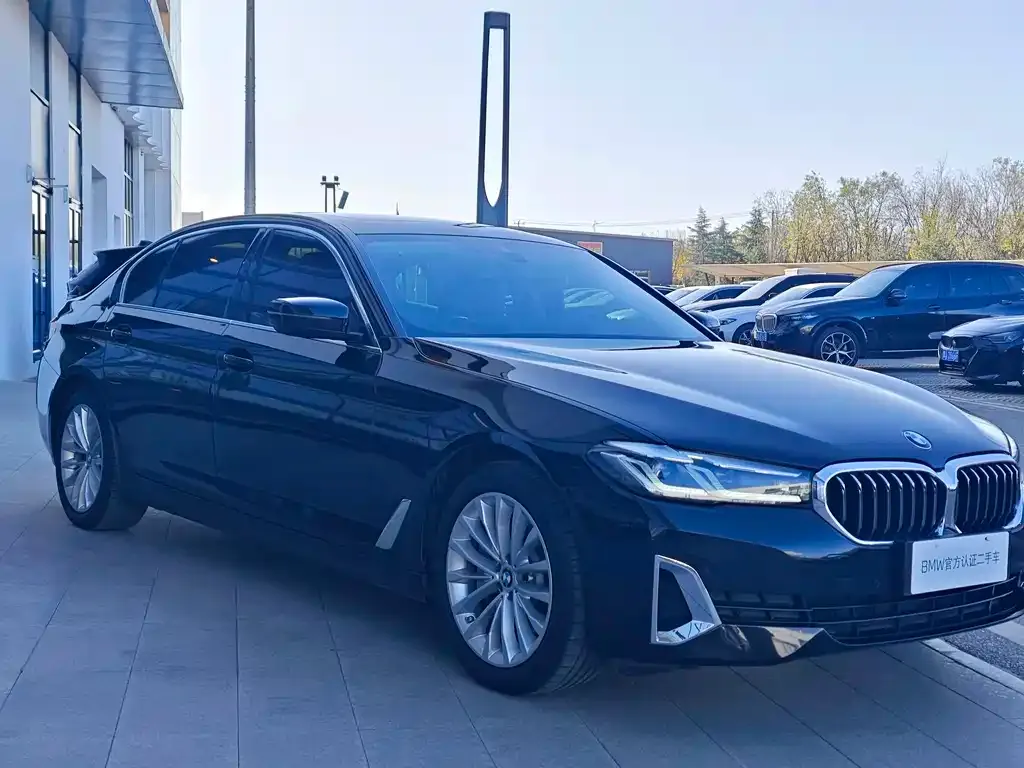 BMW 5 Series New Energy 2021 из CN, фото 4