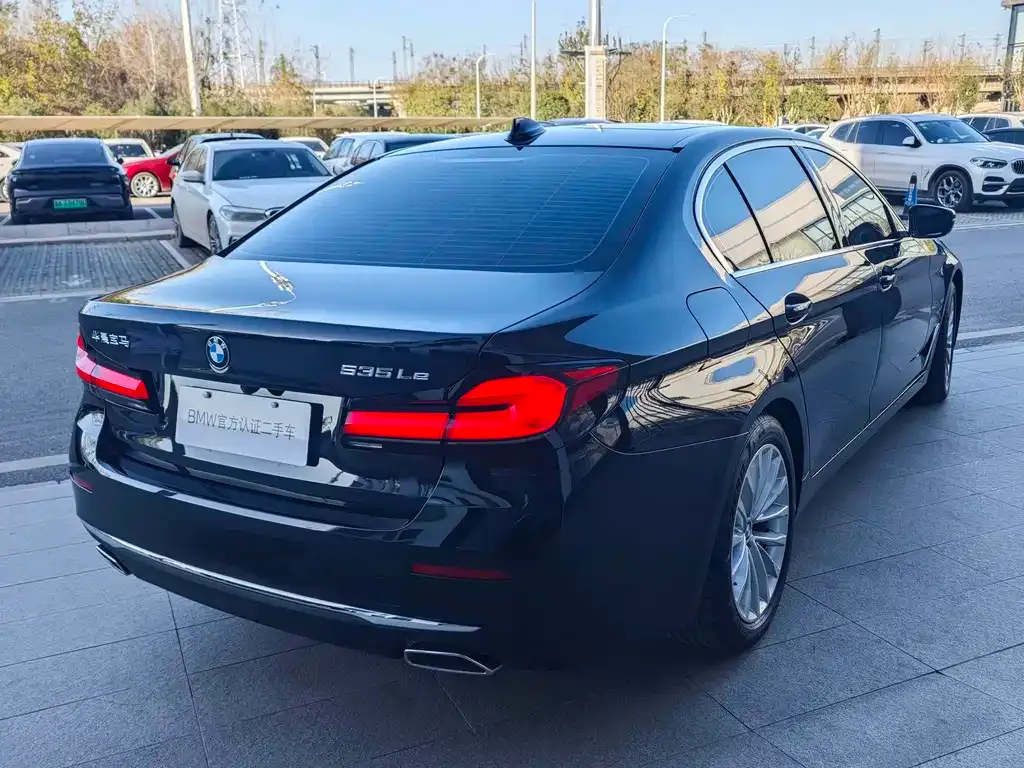 BMW 5 Series New Energy 2021 из CN, фото 6