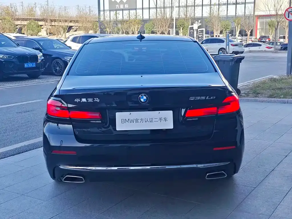 BMW 5 Series New Energy 2021 из CN, фото 7