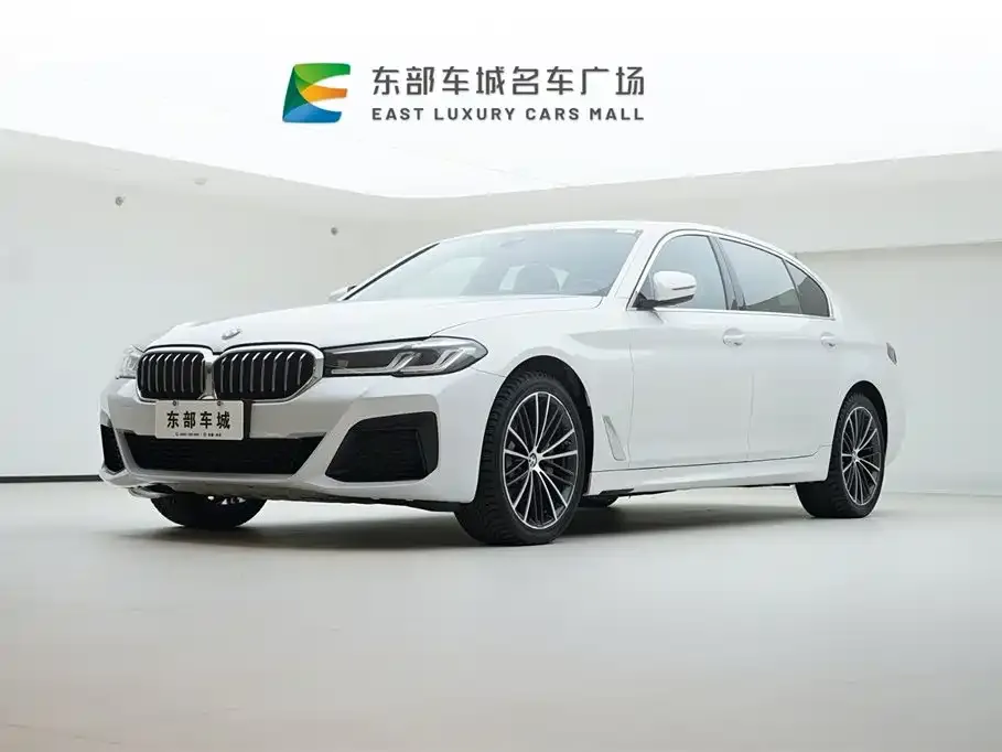 BMW 5 Series 2021 из CN, фото 1